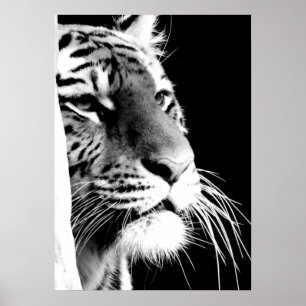 Black & White Tiger Eyes Poster