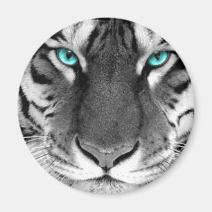 Black White Tiger Magnet