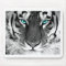 Black White Tiger