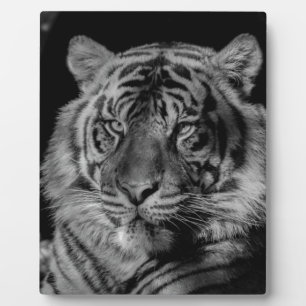 Black & White Tiger Plaque