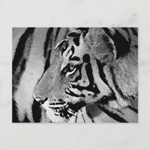 Black & White Tiger Postcard