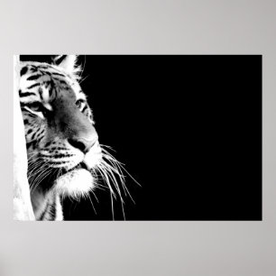 Black & White Tiger Poster