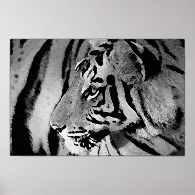 Black & White Tiger Poster Print (Front)