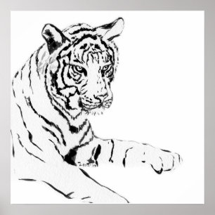 Black & White Tiger Sketch Poster