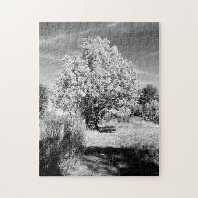 Black & White Trees Jigsaw Puzzle (Vertical)