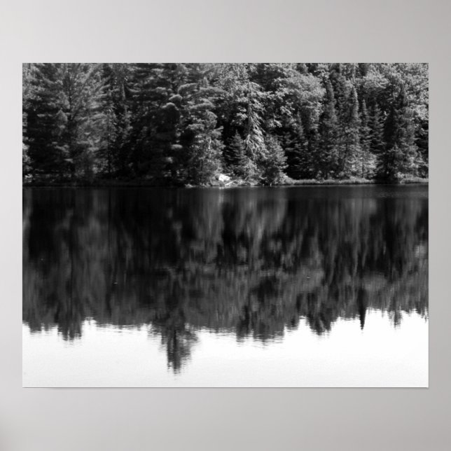 Black & White Trees Reflection in the Water 16x20 Poster (Front)