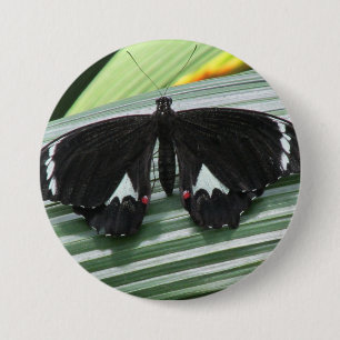 Black & White Tropical Butterfly 7.5 Cm Round Badge