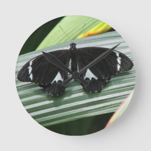 Black & White Tropical Butterfly Clock