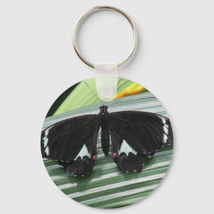 Black & White Tropical Butterfly Key Ring
