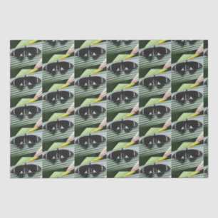 Black & White Tropical Butterfly Tissue Paper