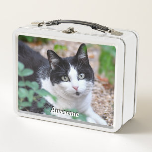 Black & White Tuxedo Cat Custom Photo Metal Lunch Box