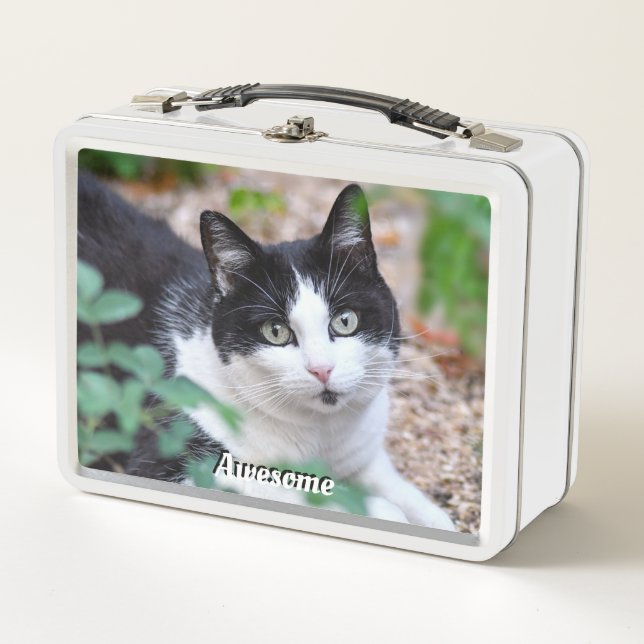 Black & White Tuxedo Cat Custom Photo Metal Lunch Box (Front)