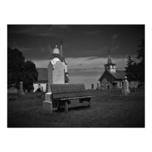 “Black & White Valley Grove” Photo Print