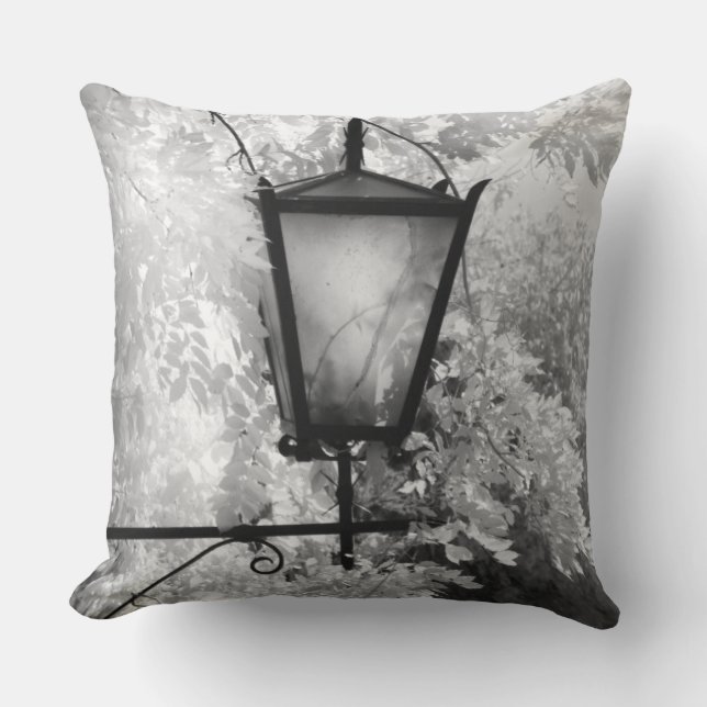 Black & White view of light fixture Cushion (Front)