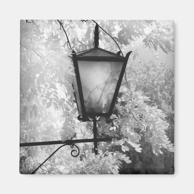 Black & White view of light fixture Magnet (Front)