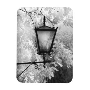 Black & White view of light fixture Magnet