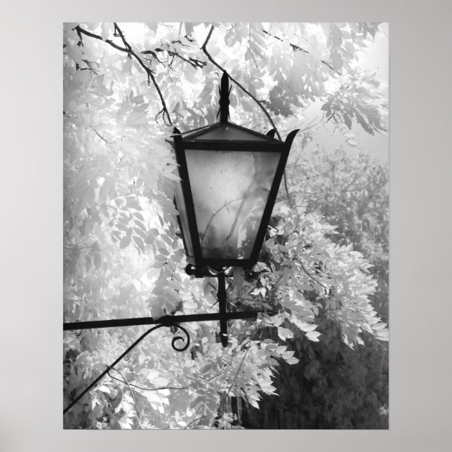 Black & White view of light fixture Poster (Front)