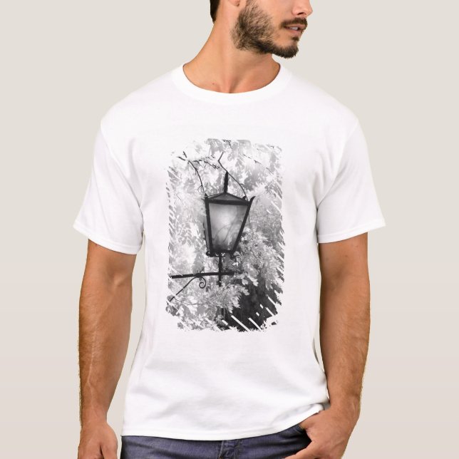 Black & White view of light fixture T-Shirt (Front)