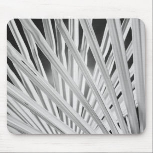 Black & White view of palm tree fronds Mouse Pad