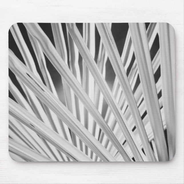 Black & White view of palm tree fronds Mouse Pad (Front)