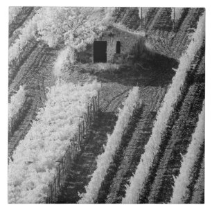 Black & White view of small stone barn Ceramic Tile