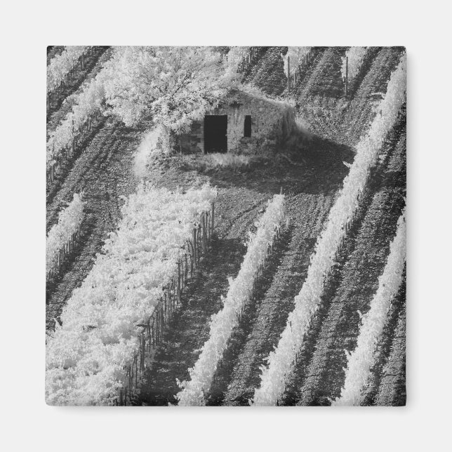 Black & White view of small stone barn Magnet (Front)
