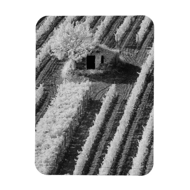 Black & White view of small stone barn Magnet (Vertical)
