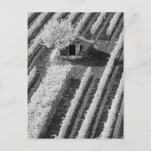 Black & White view of small stone barn Postcard