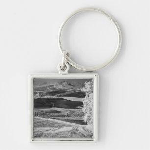 Black & White view of winding road Key Ring