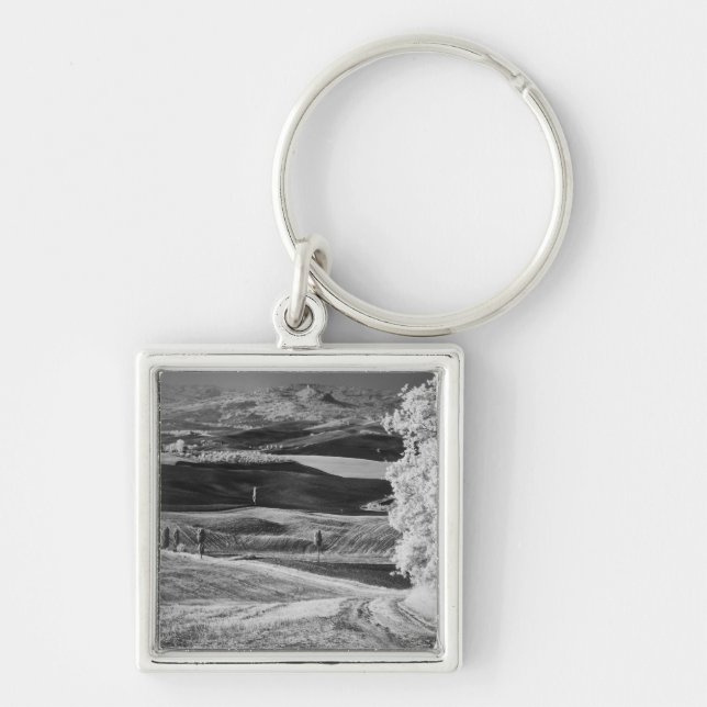 Black & White view of winding road Key Ring (Front)