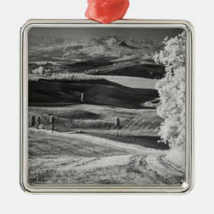 Black & White view of winding road Metal Tree Decoration