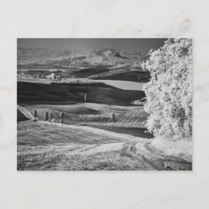 Black & White view of winding road Postcard
