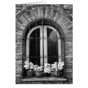 Black & White view of window and flower pots