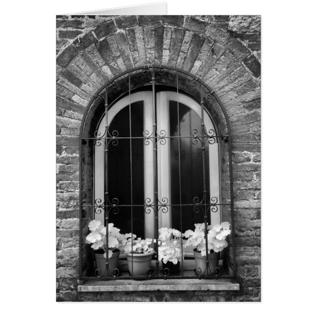 Black & White view of window and flower pots (Front)