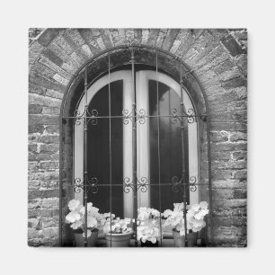 Black & White view of window and flower pots Magnet