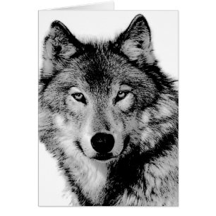 Black & White Wolf