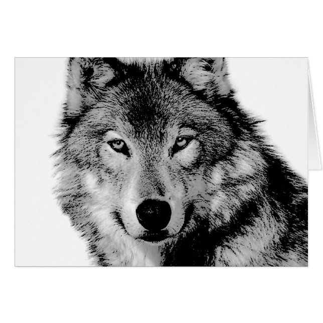 Black & White Wolf (Front Horizontal)