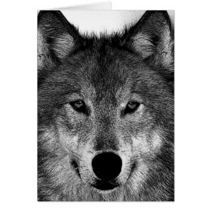 Black & White Wolf Artwork
