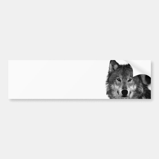 Black & White Wolf Artwork Bumper Sticker (Front)