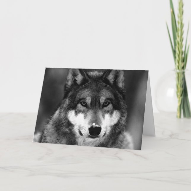 Black & White Wolf Card (Front)