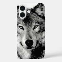 Black & White Wolf
