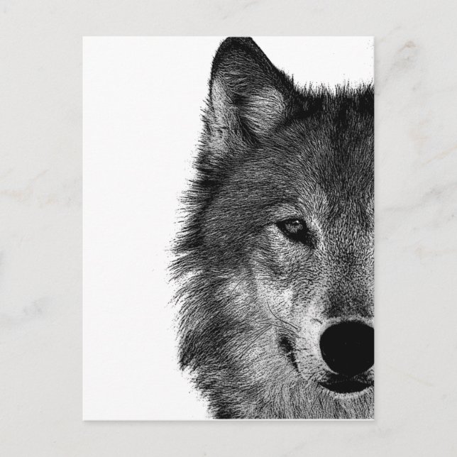 Black & White Wolf Eye Artwork Postcard (Front)