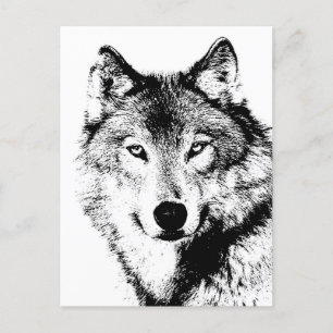 Black & White Wolf Holiday Postcard