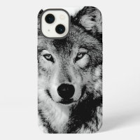 Black & White Wolf