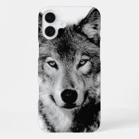 Black & White Wolf