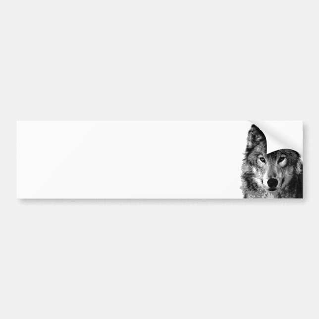 Black & White Wolf Portrait Bumper Sticker (Front)