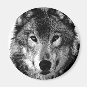 Black & White Wolf Portrait Magnet