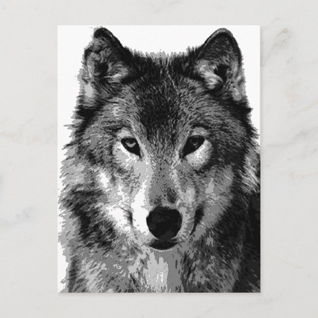 Black & White Wolf Portrait Postcard (Front)