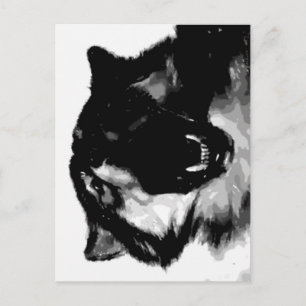 Black & White Wolf Postcard