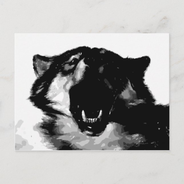 Black & White Wolf Postcard (Front)